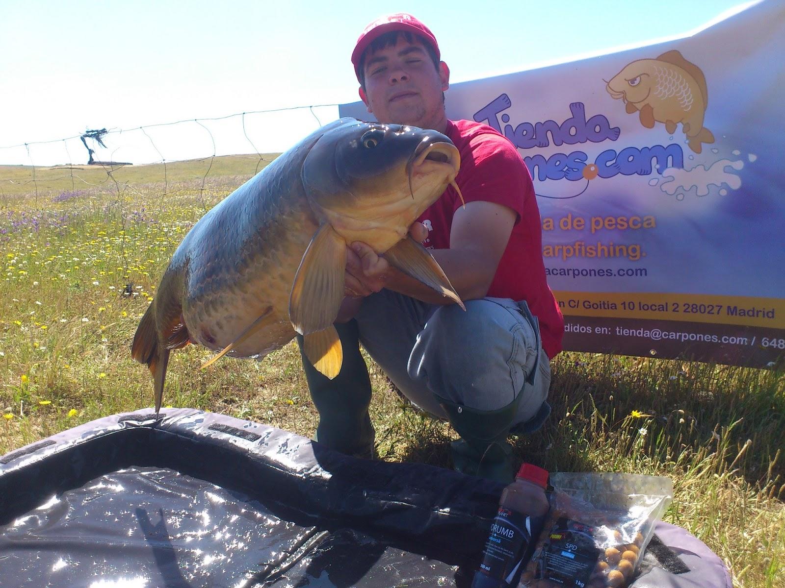 SNZ PLANET SPAIN MAI 2013 - over20-carp-spain-snz-planet.JPG